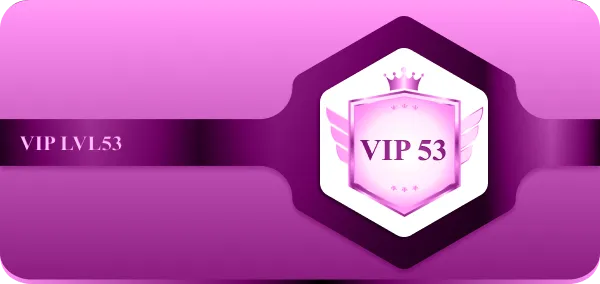 VIP53