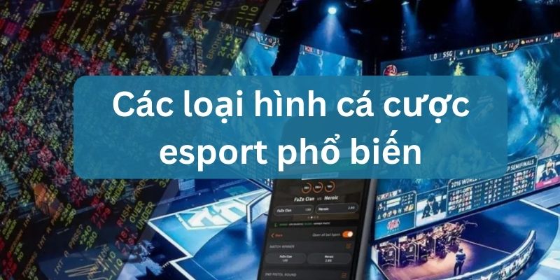 cá cược esport là gì