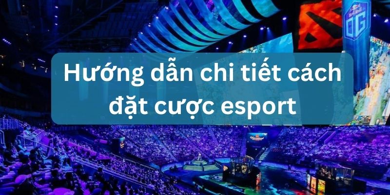 cá cược esport live