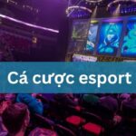 Cá Cược Esport Tại Hi88 Hướng Dẫn Đặt Kèo Chi Tiết 2024