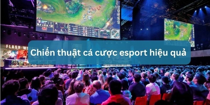 cách cá cược esport