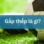 Gấp thếp là gì? Cách đánh tăng gấp đôi tiền cược hiệu quả tại Hi88