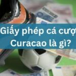 Giấy Phép Cá Cược Curacao Và Những Điều Cần Biết Khi Chơi Game Online