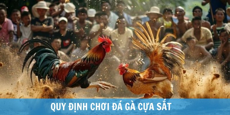 khám phá đá gà cựa sắt là gì