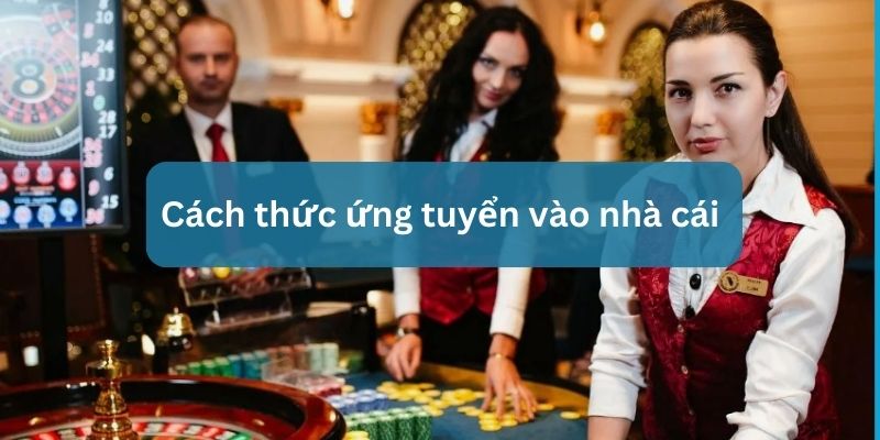 làm việc trong casino