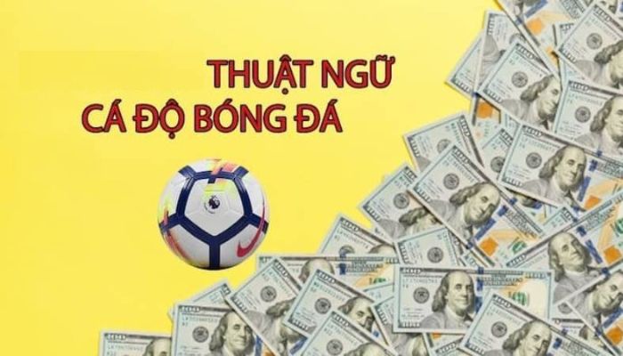 Các thuật ngữ trong cá cược bóng đá kèo Châu Á