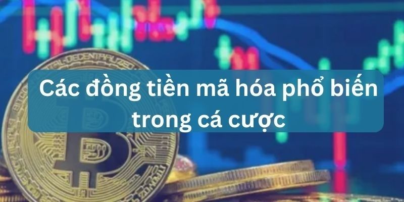 nhà cái bitcoin, crypto là gì