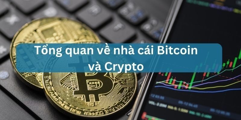 nhà cái bitcoin crypto