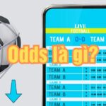 Odds Là Gì? Hướng Dẫn Cách Đọc Tỷ Lệ Kèo Cược Bóng Đá Chi Tiết