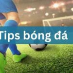 Tips Bóng Đá Là Gì Và Cách Xem Tips Chuẩn Xác Nhất 2024