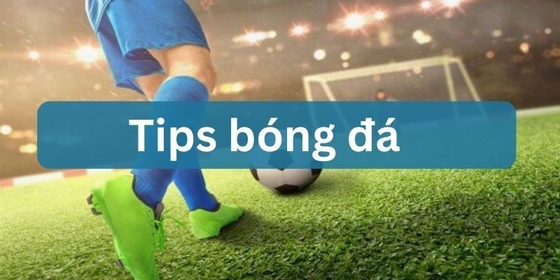 tip bóng đá